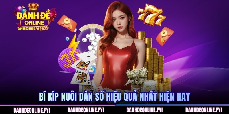 Dàn Đề 50 Số - Bí Quyết Chốt Cược Hiệu Quả Và Nhanh Nhất 2 Bí kíp nuôi dàn số hiệu quả nhất hiện nay