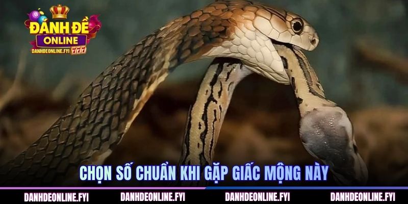 Mơ Thấy Rắn | Giải Mã Điềm Báo Chuẩn Xác Tại ĐÁNH ĐỀ ONLINE 3 Chọn số chuẩn khi gặp giấc mộng này