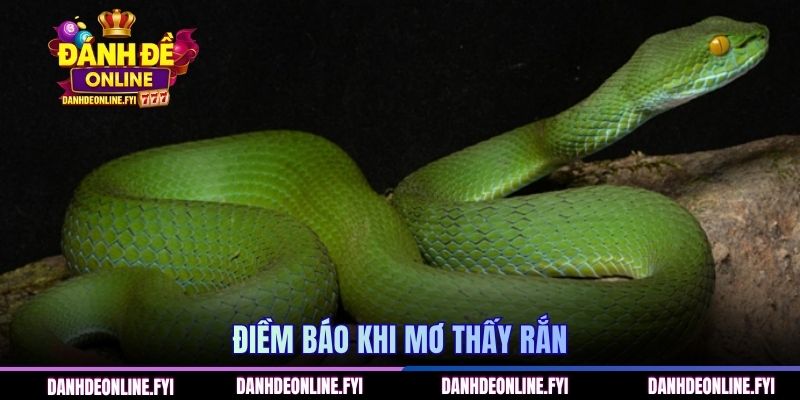 Mơ Thấy Rắn | Giải Mã Điềm Báo Chuẩn Xác Tại ĐÁNH ĐỀ ONLINE 1 Điềm báo khi mơ thấy rắn