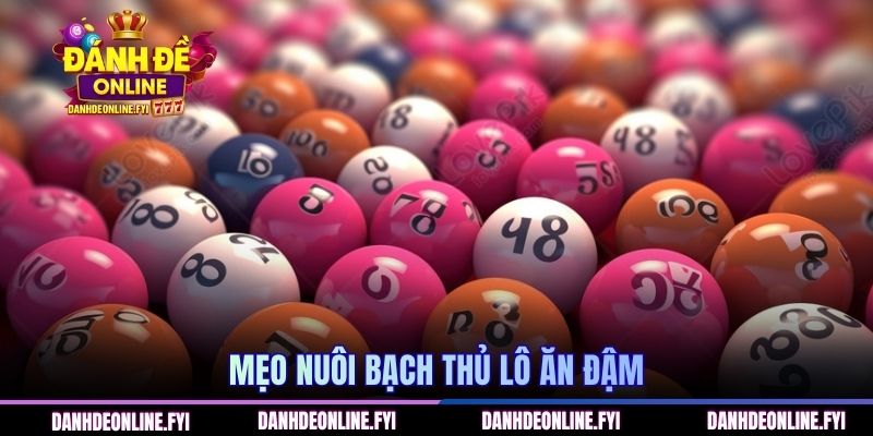 Bạch Thủ Lô Kép Khung 2 Ngày | Chiến Lược Vàng Cho Game Thủ 3 Mẹo nuôi bạch thủ lô ăn đậm
