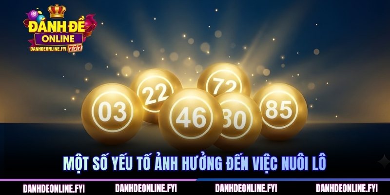 Chiến Lược Bạch Thủ Lô Nuôi 7 Ngày Cho Người Mới Bắt Đầu 2 Một số yếu tố ảnh hưởng đến việc nuôi lô