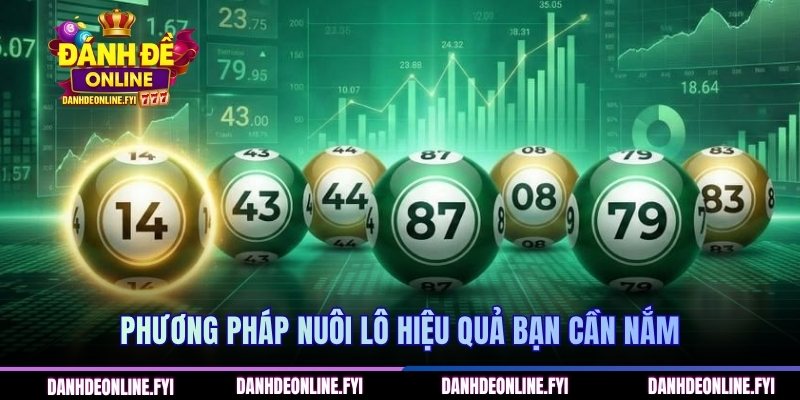 Chiến Lược Bạch Thủ Lô Nuôi 7 Ngày Cho Người Mới Bắt Đầu 3 Phương pháp nuôi lô hiệu quả bạn cần nắm