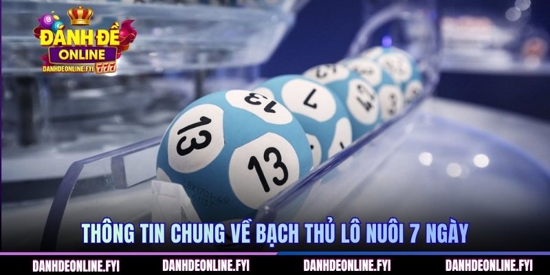 Chiến Lược Bạch Thủ Lô Nuôi 7 Ngày Cho Người Mới Bắt Đầu 1 Thông tin chung về bạch thủ lô nuôi 7 ngày