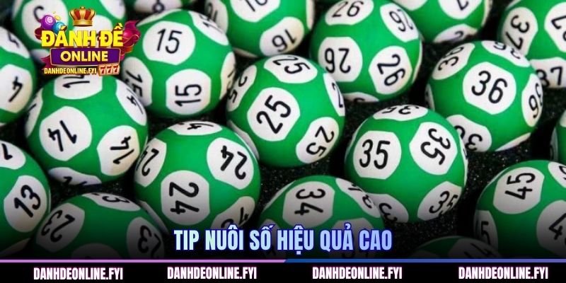 Dàn Đề Nuôi 3 Ngày | Cách Chơi An Toàn Tại ĐÁNH ĐỀ ONLINE 3 Tip nuôi số hiệu quả cao